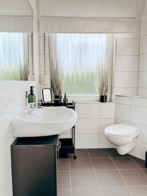 Auszeit - Detmold Apartman Kültér fotó